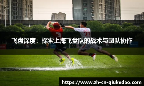 飞盘深度：探索上海飞盘队的战术与团队协作